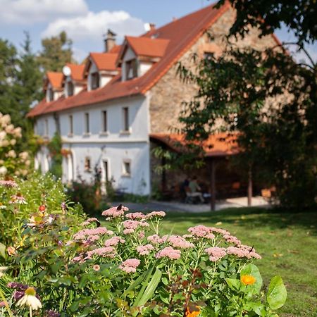 Villa Greta Świerzawa Eksteriør bilde